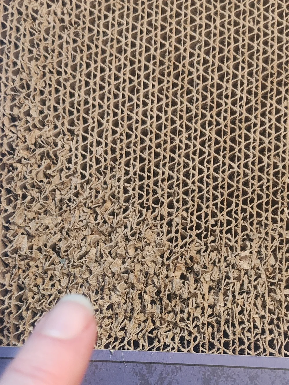 PETS: CAT SCRATCHER TOY: RIP HALLOWEEN POP-UP GHOST & BALL